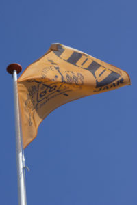 Die Leythe - Vlag
